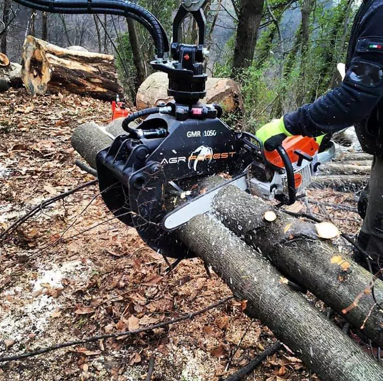 FORESTAL FORKS WITH FORK JUNCTION